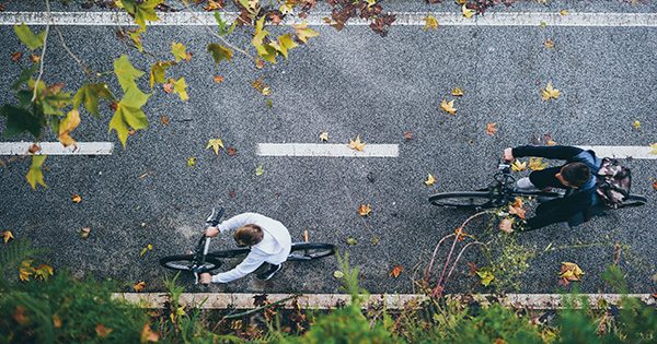 ‘Beauty’ alone won’t solve the climate crisis