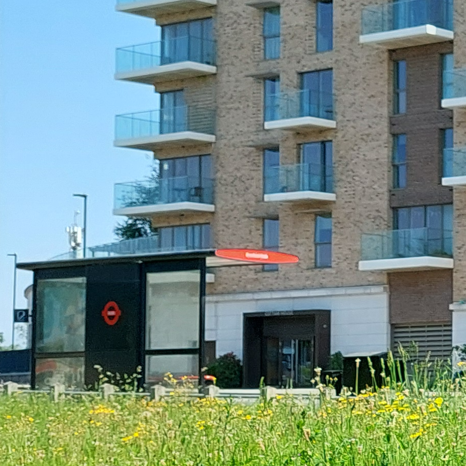 New homes, wildflowers and a railway station: a visit to Kidbrooke Village