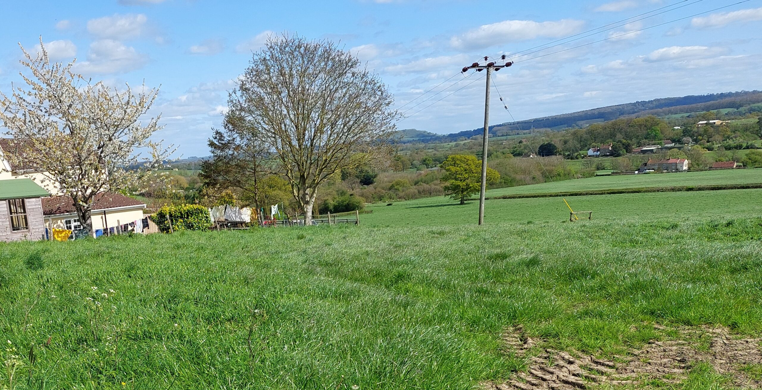 Will the Selwood car-visioned garden community be given consent?