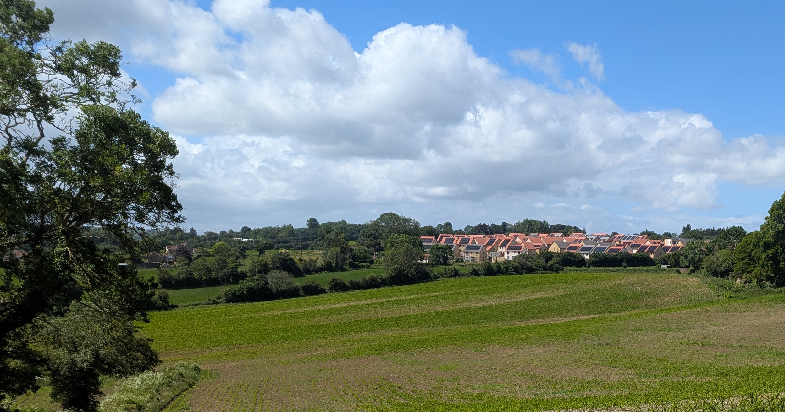 The curious case of the Selwood Garden Community